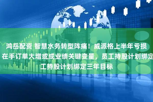 鸿岳配资 智慧水务转型阵痛！威派格上半年亏损8000万：在手订单大增或成业绩关键变量，员工持股计划绑定三年目标